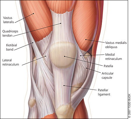 Knee Pro-Tec Patellar - Image 2