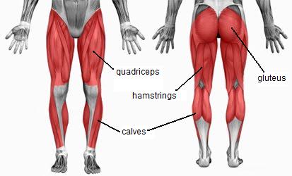 Pro-tec Thigh Sleeve Support - Image 2